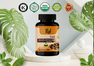Cure by Design – Turkey Tail Capsules  Naturally Support Immunity | Reduce Inflammation | Enhance Vitality