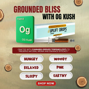 Cannazo-OG KUSH Uplift Pen (Full Spectrum THC Extract Syringe) Golden Extract