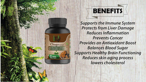 Cure By Design - Chaga Mushroom Capsules| Daily Antioxidant Support for Energy & Wellness